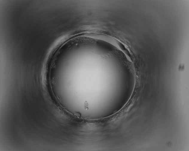 X0000103490149200809121723