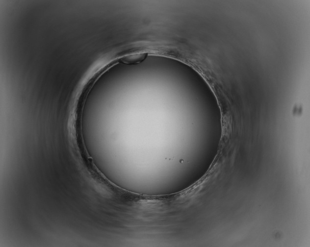 X0000103490150200809121723