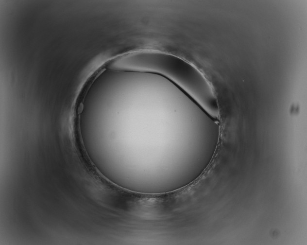 X0000103490152200809121723