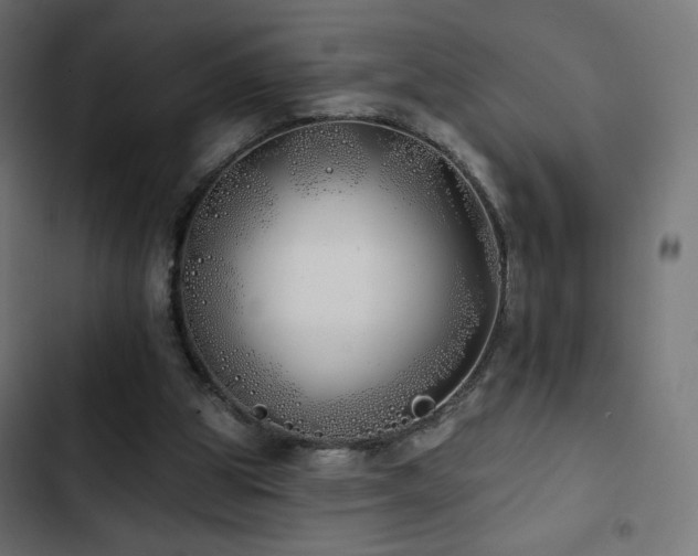 X0000103490153200809121723