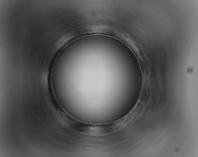 X0000103490154200809121723