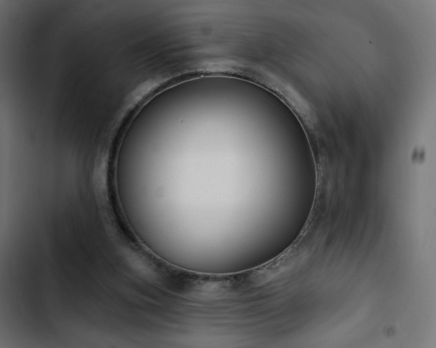 X0000103490155200809121723