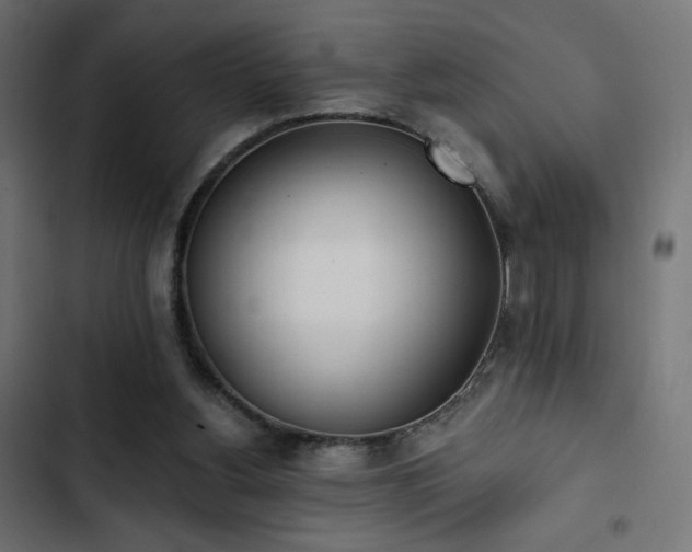 X0000103490156200809121723