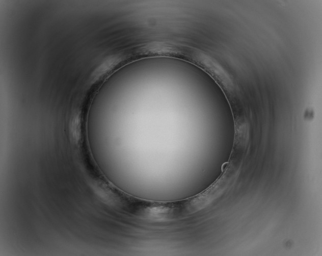 X0000103490158200809121723