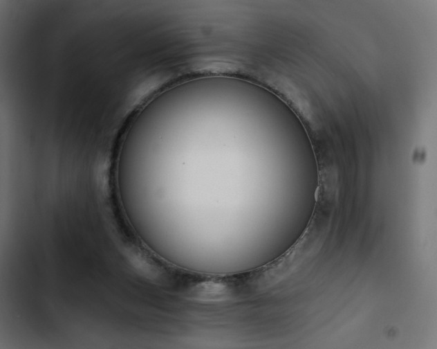 X0000103490159200809121723