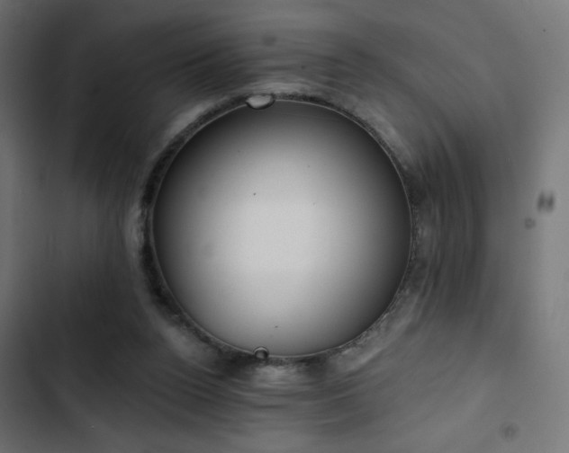 X0000103490160200809121723