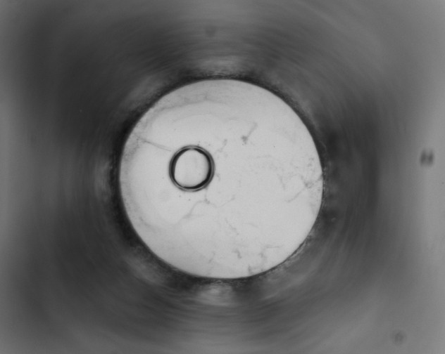 X0000103490162200809121723