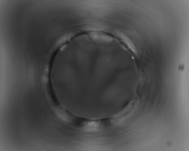 X0000103490163200809121723