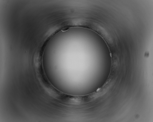 X0000103490164200809121723