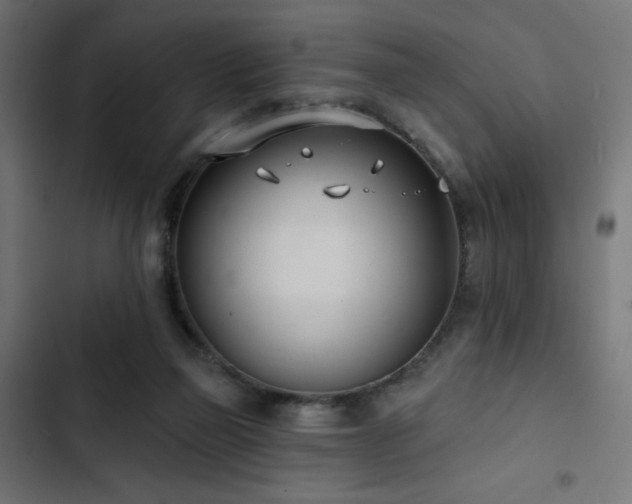 X0000103490165200809121723