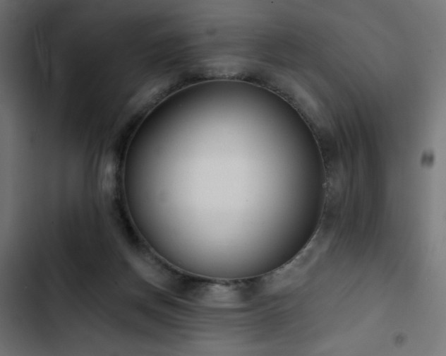 X0000103490166200809121723