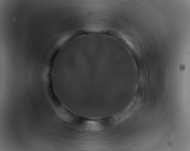 X0000103490167200809121723