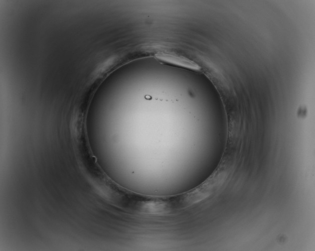 X0000103490168200809121723