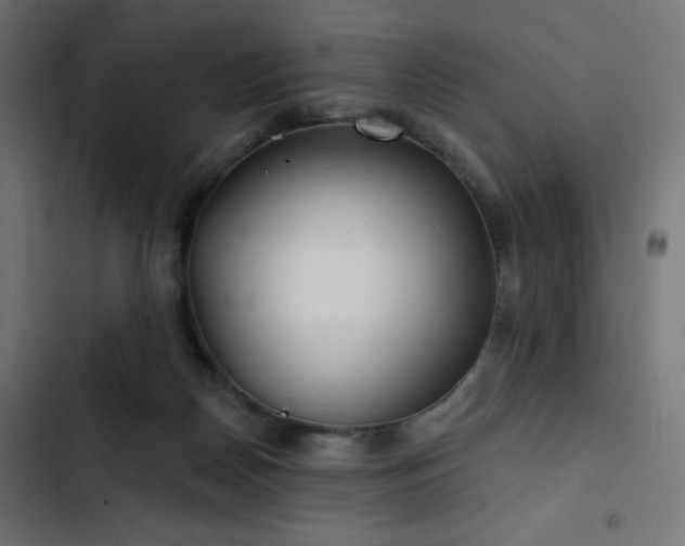 X0000103490170200809121723