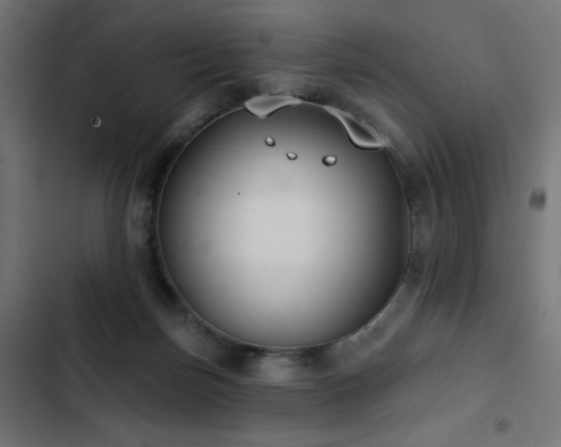 X0000103490171200809121723