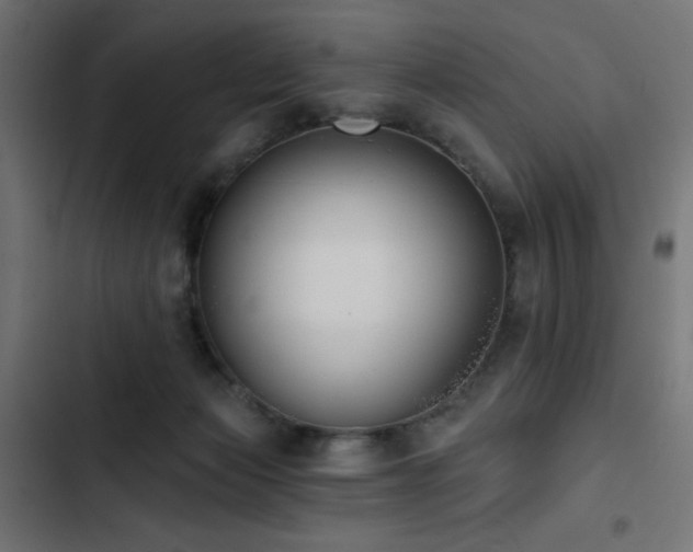 X0000103490173200809121723