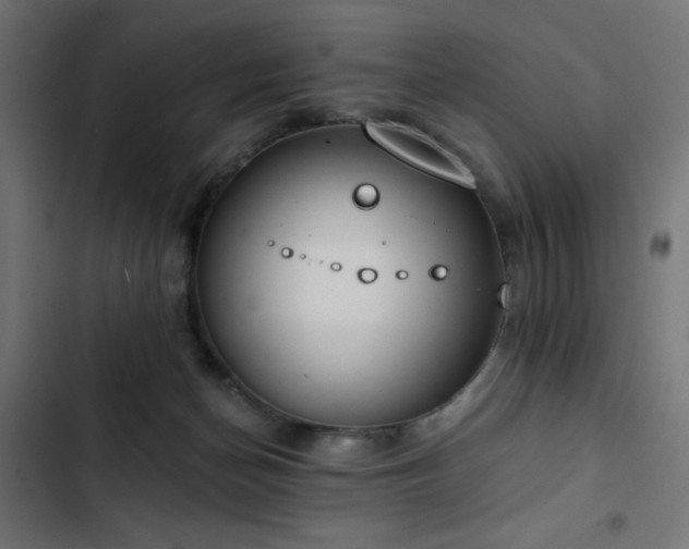 X0000103490174200809121723