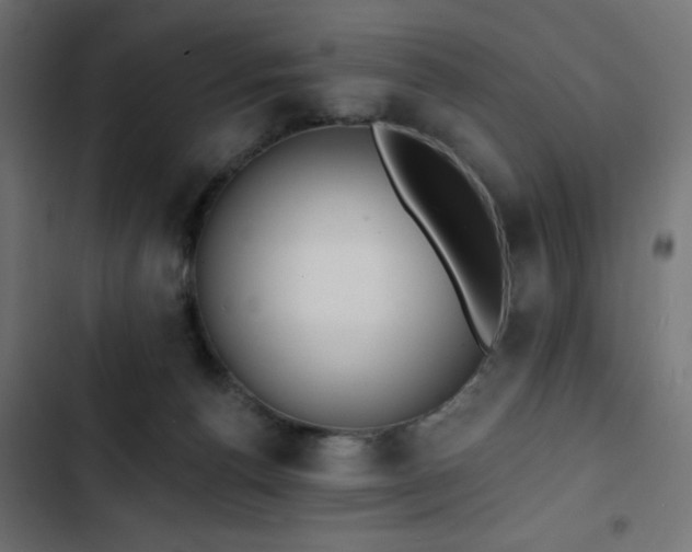 X0000103490176200809121723