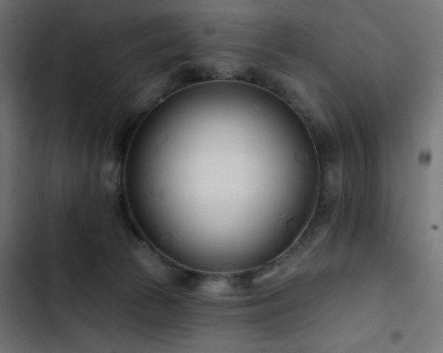 X0000103490177200809121723