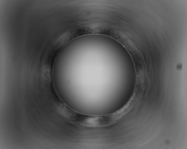 X0000103490178200809121723