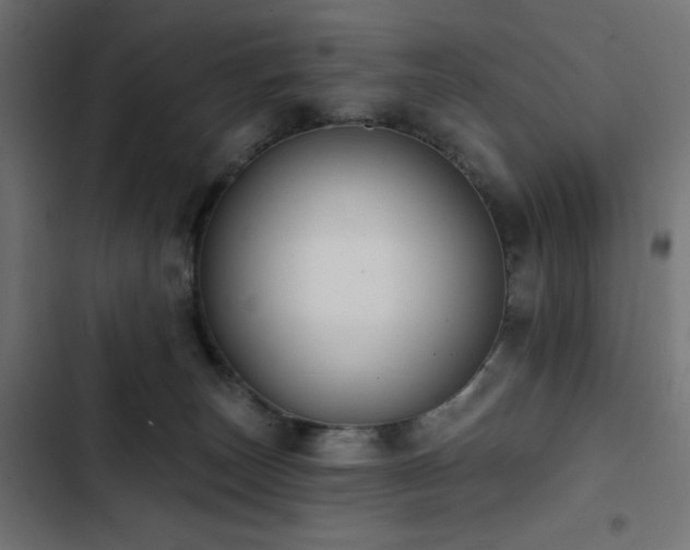 X0000103490179200809121723