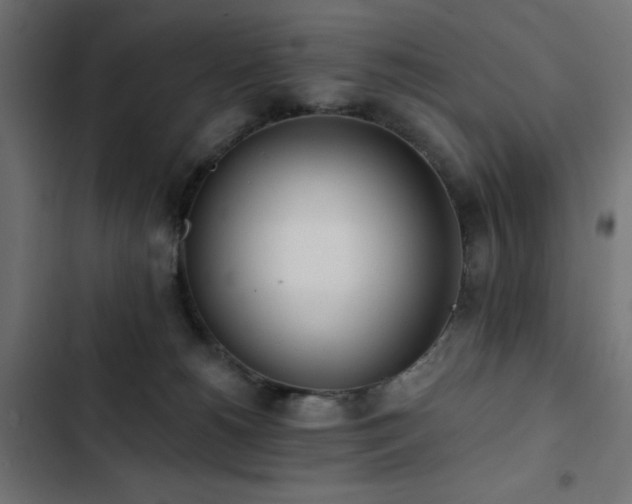 X0000103490180200809121723