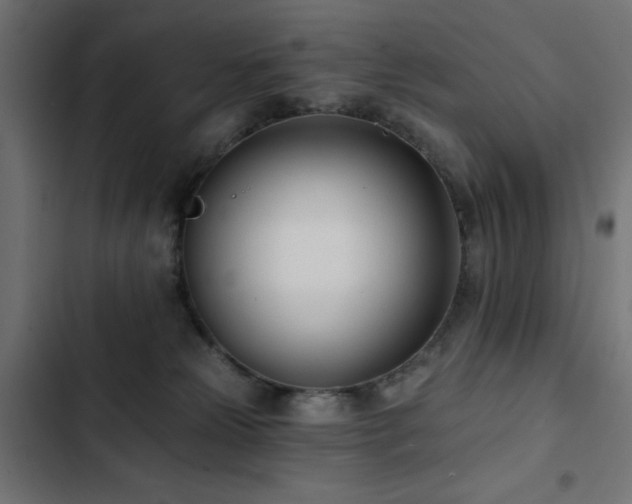 X0000103490181200809121723