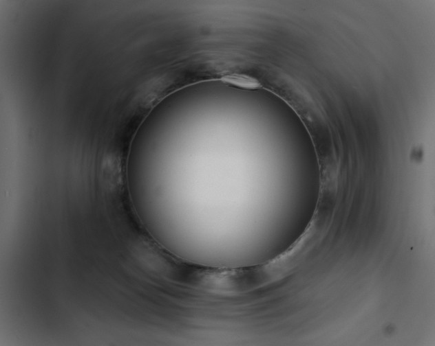 X0000103490182200809121723