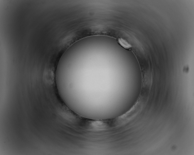 X0000103490183200809121723