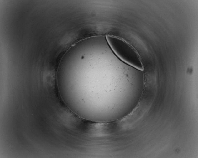 X0000103490184200809121723