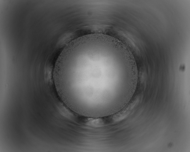 X0000103490185200809121723