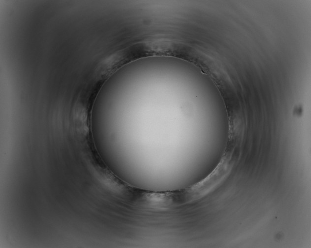 X0000103490187200809121723