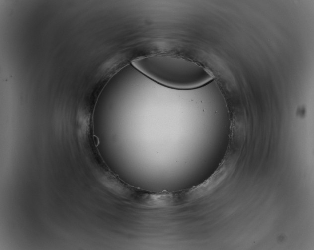 X0000103490188200809121723