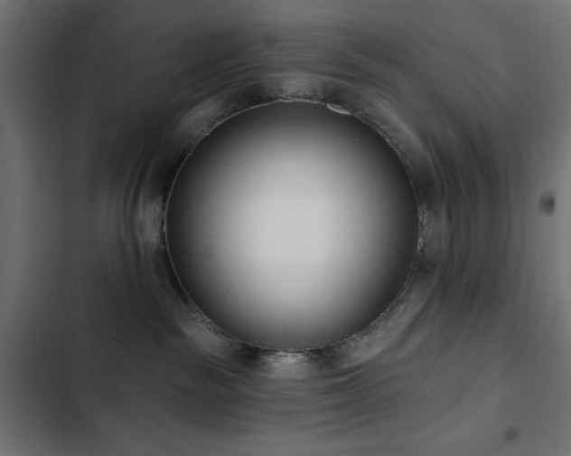 X0000103490189200809121723