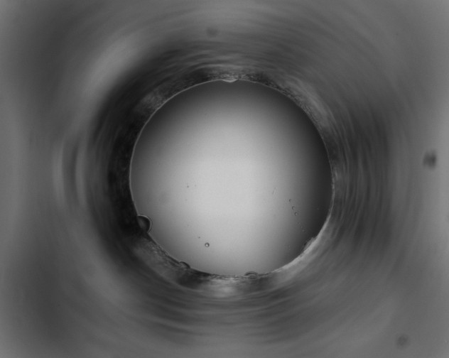 X0000103490190200809121723