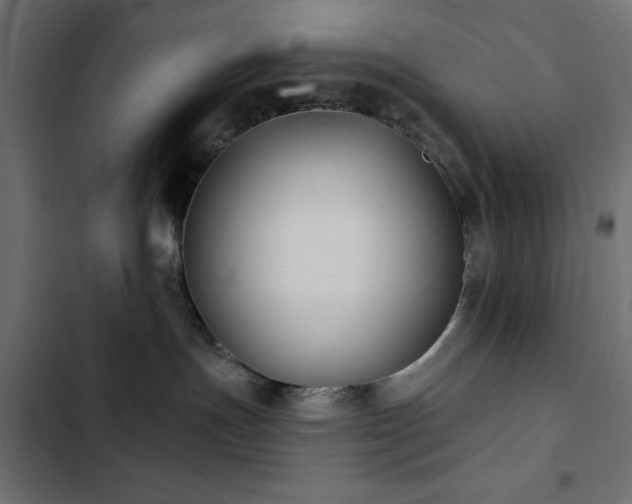 X0000103490191200809121723