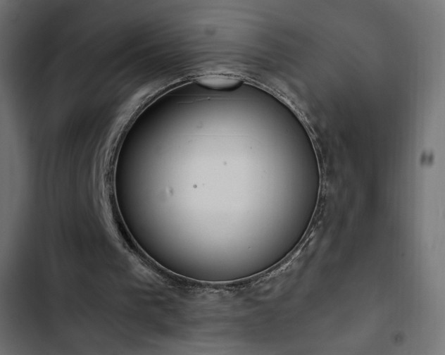 X0000103490193200809121723