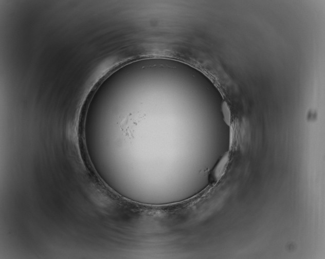 X0000103490195200809121723