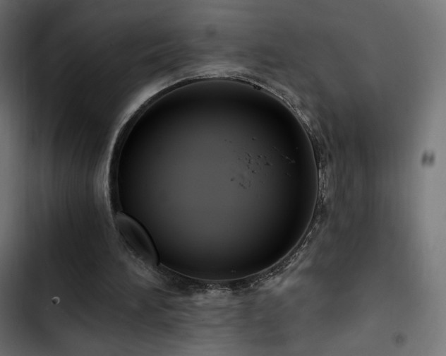 X0000103490196200809121723