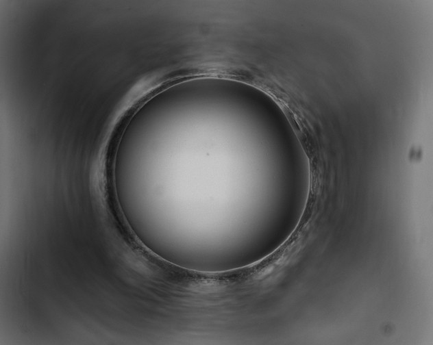 X0000103490198200809121723