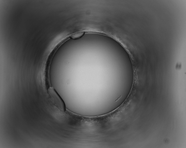 X0000103490199200809121723