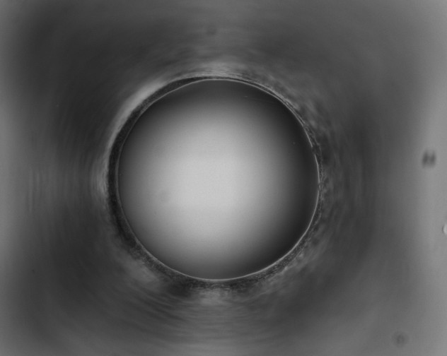 X0000103490200200809121723