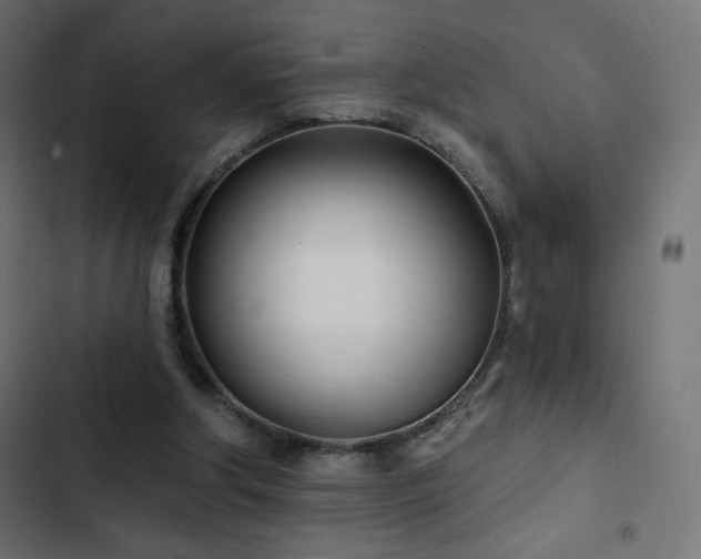 X0000103490202200809121723