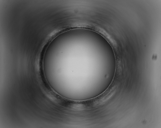 X0000103490203200809121722