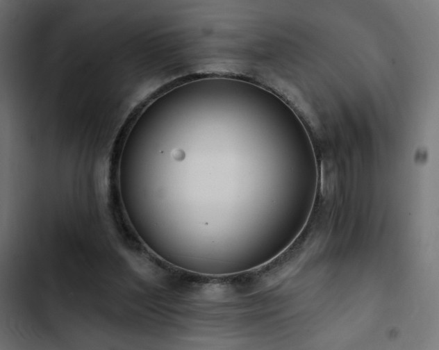 X0000103490204200809121722