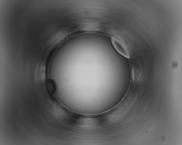 X0000103490205200809121722