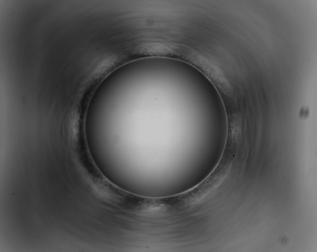 X0000103490206200809121722