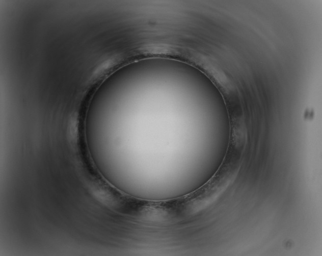 X0000103490207200809121722