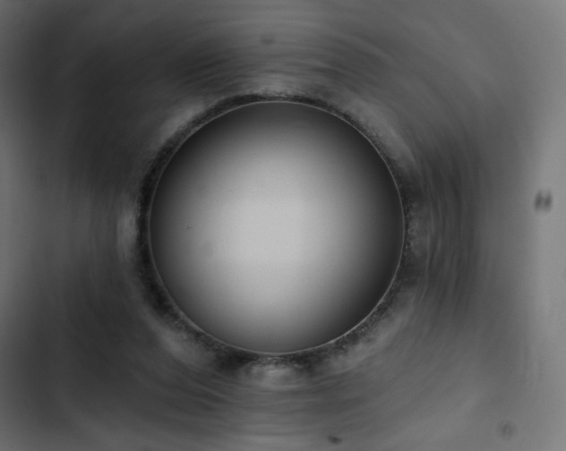 X0000103490208200809121722