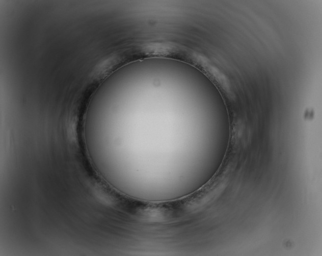 X0000103490209200809121722